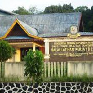 Pengumuman Pelatihan Berbasis Kompetensi di BLK Tanjung Pinang
